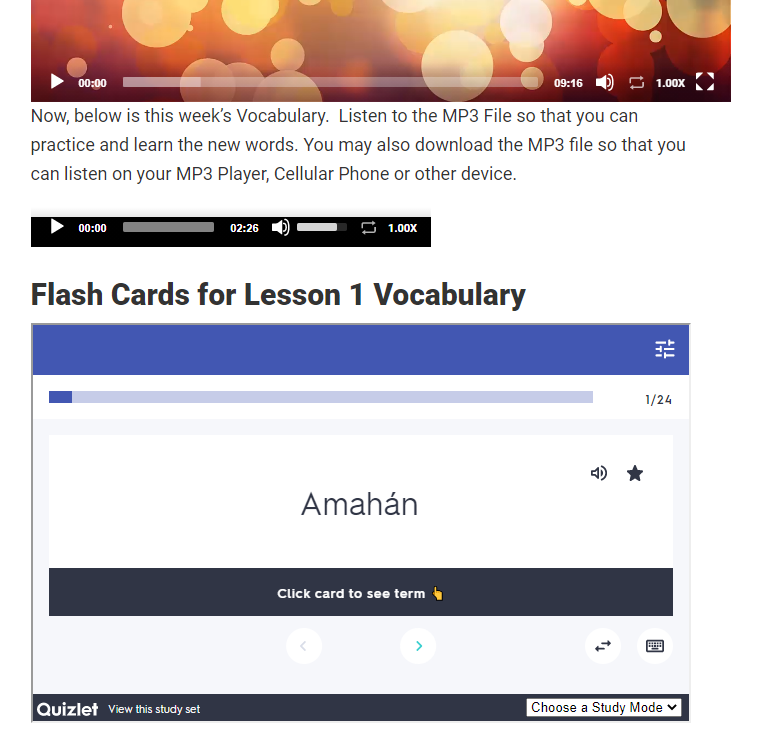 Vocabulary flash cards